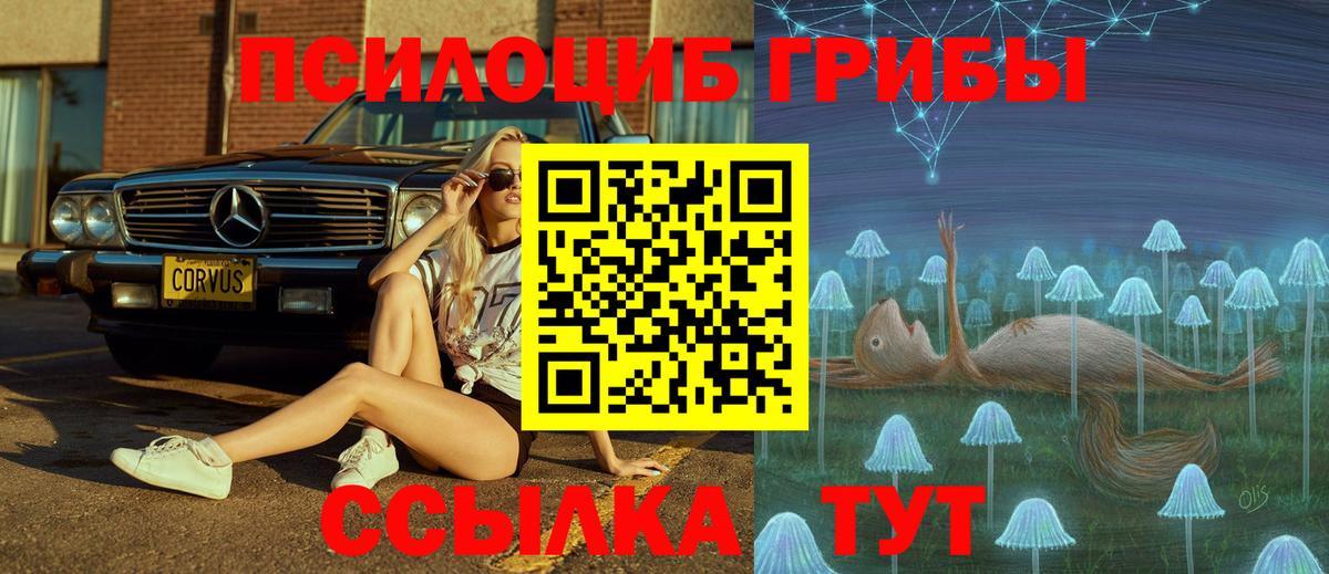 Старая Купавна  Псилоцибиновые грибы Magic Shrooms  Псилоцибиновые грибы Psilocybine cubensis  Вход с VPN 